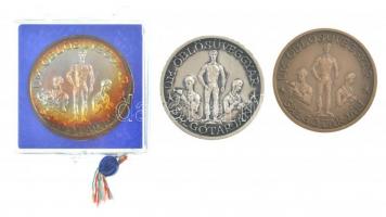 1981. "Salgótarjáni Öblösüveggyár - 75 év - 1901-1986" Br, ezüstpatinázott Br és jelzett A...