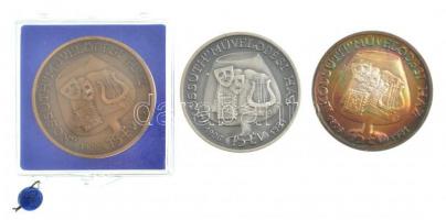 DN "ÜM. Öblösüveggyár Salgótarján / Kossuth Művelődési Ház 1906-1981" Br, ezüstpatinázott ...