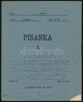 1918-1920 Katona kézzel írt naplója főleg az 1919-es évről 12 beírt oldal