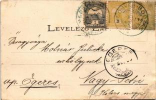 Medgyesbodzás, Megyes-Bodzás; Állami iskola, Papi lak. Kohn Farkas kiadása (ázott sarok / wet corner...