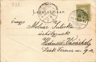 1903 Marosvásárhely, Targu Mures; Korzó, Dudutz István, Fey József, Bogdanffy István, Kiss J. Antal ...