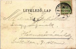 1905 Nagyvárad, Oradea; Új városháza, híd / new town hall, bridge (EK)