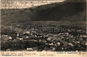 1903 Boksánbánya, Németbogsán, Deutsch-Bogsan, Bocsa Montana; látkép zsinagógával. Rosner Adolf kiadása / general view with synagogue (r)