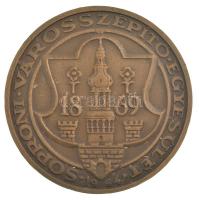 Bogár Lívia (1957-) 1984. 1869 - Soproni Városszépítő Egyesület bronz emlékérem (50mm) T:1-