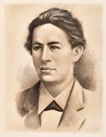 Anton Pavlovics Csehov művei: I.-IV. kötetek. Teljes. Bp., 1960., Európa. Kötetenként 1-1 rézmetszet...