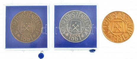 ~1960-1970. "Nógrádi szénbányák 1861 / Föld Alatti Bányamúzeum, Salgótarján" Br, ezüstpati...