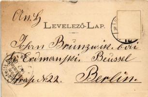 1900 Budapest I. Pest látképe a budai oldalról. Fénynyomat Divald műintézetéből (b)