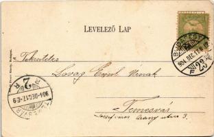 1904 Budapest II. Rózsadomb, Gül Baba türbéje, sírja. Divald Károly 628. sz. (EK)