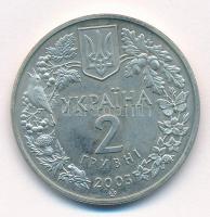 Ukrajna 2003. 2Hr alpakka "Európai bölény" T:1,1-
Ukraine 2003. 2 Hryvnia alpacca "E...