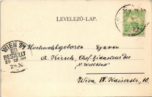 1900 Tátra, Magas-Tátra, Vysoké Tatry; részlet a Felka-völgyben / Partie im Felkatal / Velická dolin...