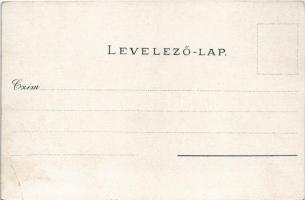 Pozsony, Pressburg, Bratislava; Duna-parti részlet, gőzhajó. Mehner & Maas kiadása / Danube rive...