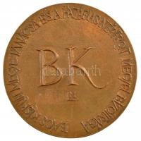 Lessenyei Márta (1930-) DN "Bács-Kiskun Megye Tanácsa és a Hazafias Népfront Megyei Bizottsága&...