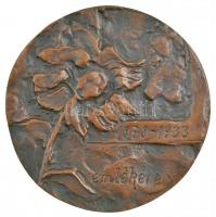 Szöllőssy Enikő (1939- ) DN "Krúdy Gyula / 1878-1933 emlékére" Br emlékérem (99mm) T:1- Ös...