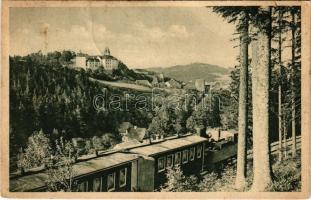Vimperk, Winterberg im Böhmerwald; Schloss / castle, railway, train (fl)