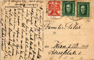 Vimperk, Winterberg im Böhmerwald; Schloss / castle, railway, train (fl)