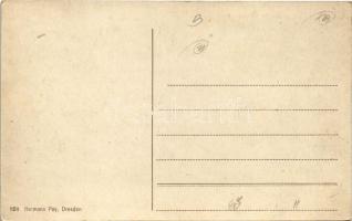 Decín, Tetschen; Marktplatz, Alois Barsch, Pick's / square, shops