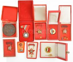 9db vegyes szocialista kitüntetés és jelvény, egy részük miniatűrrel, tokokkal közte: Szakma Kiváló Dolgozója (2x) + 1957. Az Egészségügy Kiváló Dolgozója T:2-3 patina, sérült tokok