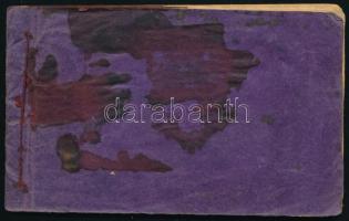 1934 Tanulmányút a Tokaj-Hegyalján fel az újhelyi határig, kézzel írt útinapló néhány beragasztott k...