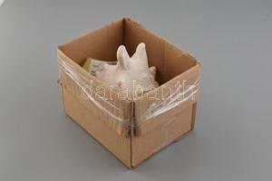Nagyméretű tengeri sisakcsiga ház, 20x15,5x16,5 cm