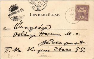 1900 Budapest XI. Kamaraerdő, Kamara-Erdő; vendéglő, Józsa lak, Villa Mártha, Ludwig Höhe, erdő rész...