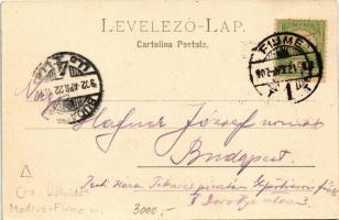 1902 Fiume, Rijeka; Palazzo Adria e governo maritimo / Adria palast und Seebehörde / palace, maritim...