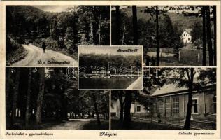 1937 Diósjenő, strandfürdő, park, főerdész lak, út a Csóványoshoz, Szünidei gyermektelep