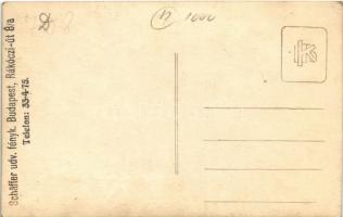 Magyar katonák csoportképe fegyverekkel / Hungarian military, soldiers with guns. Schäffer udv. fény...