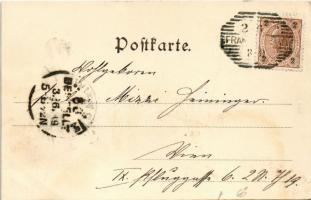 1899 (Vorläufer) Frantiskovy Lázne, Franzensbad; Kaiserstrasse / street (EK)