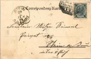 1904 Frantiskovy Lázne, Franzensbad; Kurgarten und Kurhaus / spa park (gluemark)