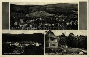 Dubí, Kurort Ober Eichwald Erzgebirge, Sanatorium Theresienbad, Hochwildpark Tuppelburg / spa, hunting castle