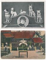 4 db RÉGI cirkuszi motívum képeslap / 4 pre-1945 circus motive postcards
