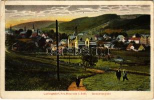 Ludwikowice Klodzkie, Ludwigsdorf; general view (Rb)