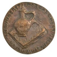 Szabó Iván (1913-1998) DN A honismereti mozgalomért - Hajdú-Bihar megye egyoldalas, öntött bronz plakett (~75-77mm) T:1-