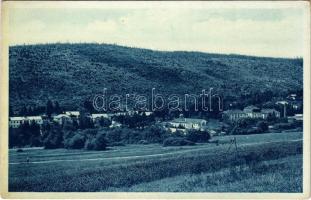 Bártfafürdő, Bardejovské Kúpele, Bardiov, Bardejov; látkép / general view (EK)