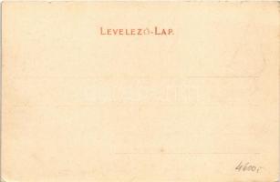 Zólyom, Zvolen; vár. Özv. Löwy Samuné kiadása / castle (EK)