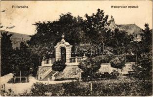 1916 Piliscsaba, Weingruber nyaraló, villa. Blau Adolf kiadása (EK)