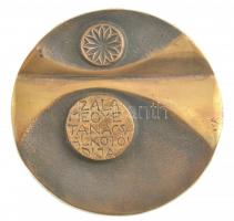 Csíkszentmihályi Róbert (1940-2021) DN Zala megyei Tanács Alkotói díja egyoldalas, öntött bronz plakett (117mm)