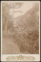 1902 Révfülöp, részlet, keményhátú fotó szecessziós hátlappal, 12,5×8 cm