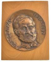 DN Gönczy Pál 1817-1892 egyoldalas, öntött bronz plakett, fa talpon (99mm) T:1-