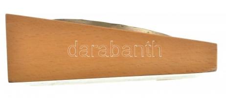 DN "Gönczy Pál 1817-1892" egyoldalas, öntött bronz plakett, fa talpon (99mm) T:1-