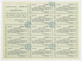 Budapest 1907. "Temesvár-Varjasi Helyi Érdekű Vasut Részvény-Társaság" törzsrészvénye 200K...