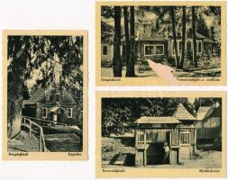 7 db RÉGI erdélyi Weinstock képeslap: Hargitafürdő, Szováta, Homoródfürdő, Marosvásárhely / 7 pre-19...