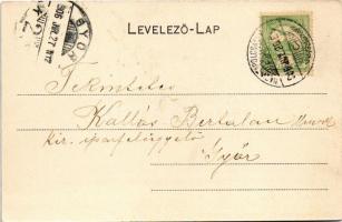 Nagytapolcsány, Topolcany; Zhorella Gyula kiadása és Lenner felvétele - Hátoldalon Kallós Bertalan k...