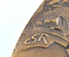 Csíkszentmihályi Róbert (1940-2021): Stockholm. Öntött, patinázott, bronz, falplasztika. Jelzett, 23...