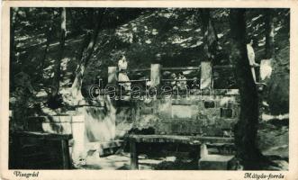 Visegrád Mátyás-forrás