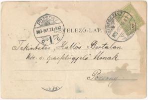 1903 Szatmárhegy, Viile Satu Mare; Református templom / Calvinist church (fl) - Kallós Bertalan ipar...