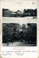 1906 Frantiskovy Lázne, Franzensbad; Curplatz, Salzquelle Allee / spa park (EK)