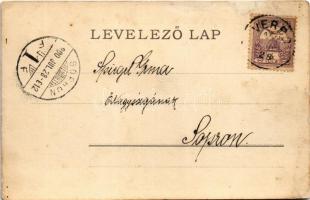 1900 Verbó, Vrbové; tér, zsinagóga a háttérben / square, synagogue in the background (r)