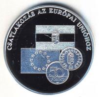 DN "A magyar pénz krónikája-Csatlakozás az Európai Unió" Ag emlékérem, 20g T:PP Csak 2004d...