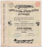Belgium / Brüsszel 1899. "Villamosok, Világítási és Elektromos Vállalatok Magyarországon Részvénytársaság" érték nélküli törzsrészvénye szárazpecséttel, szelvényekkel, bélyegzésekkel T:II- / Belgium / Bruxelles 1899. "Trams, Lighting and Electrical Companies in Hungary" ordinary share without value, with embossed stamp , coupons and overprints C:VF